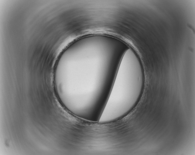 X0000101421424200807071020