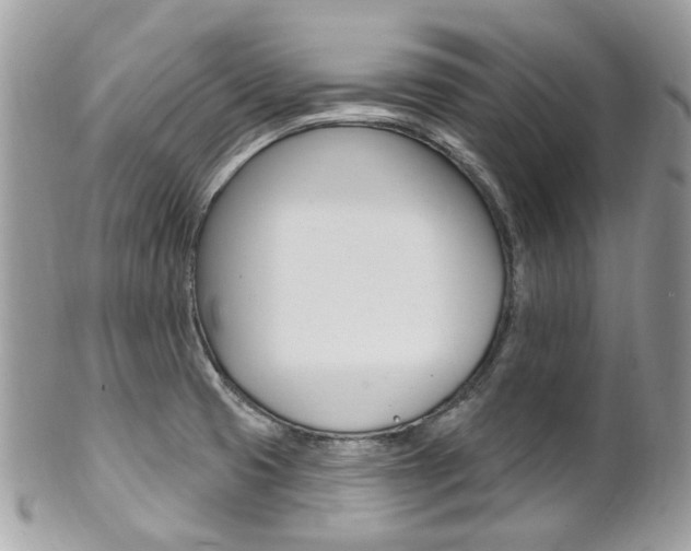 X0000101421425200807071020