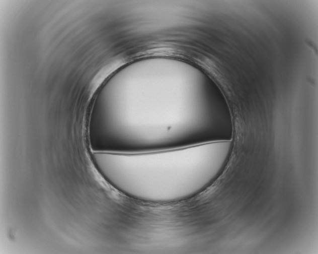 X0000101421426200807071020