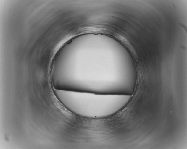 X0000101421427200807071020