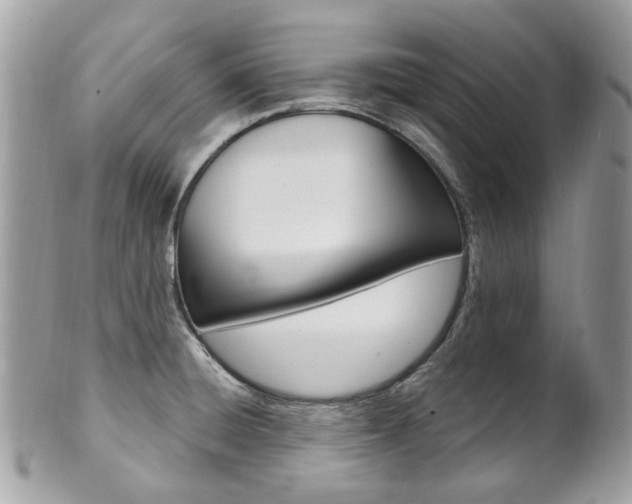 X0000101421428200807071020