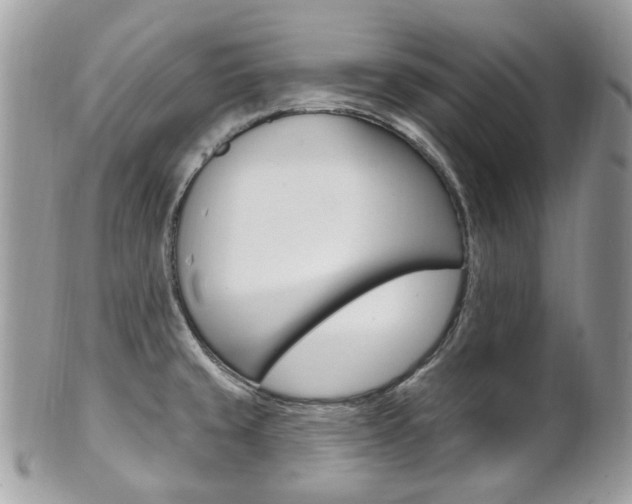 X0000101421429200807071020