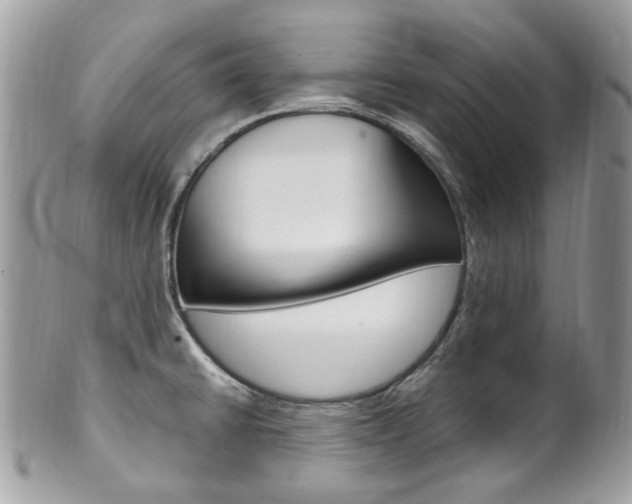 X0000101421430200807071020
