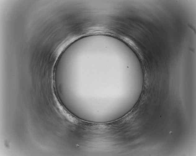 X0000101421431200807071020