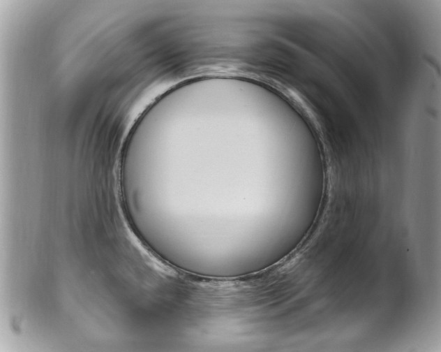 X0000101421432200807071020