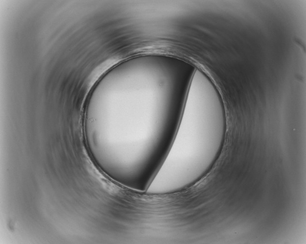 X0000101421434200807071020