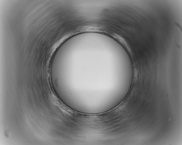 X0000101421435200807071020