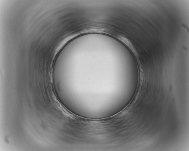 X0000101421436200807071020