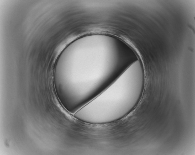 X0000101421437200807071020