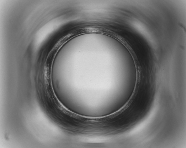 X0000101421438200807071020