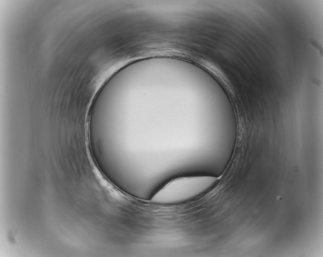 X0000101421439200807071020
