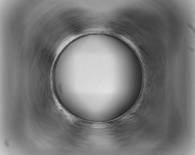 X0000101421440200807071020