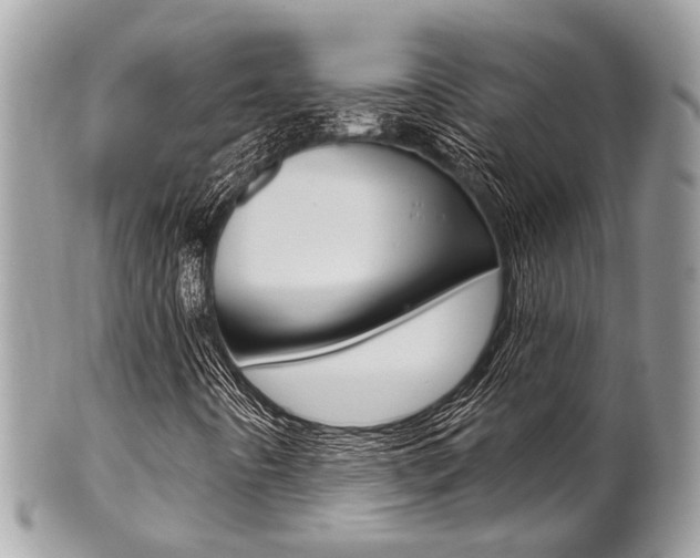 X0000101421442200807071019