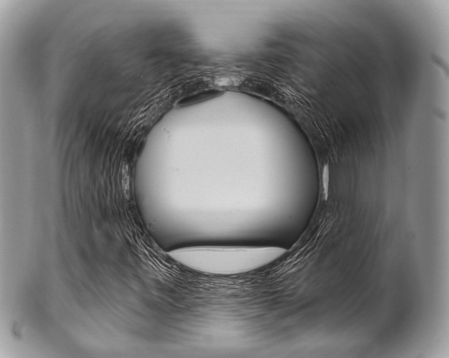 X0000101421443200807071019