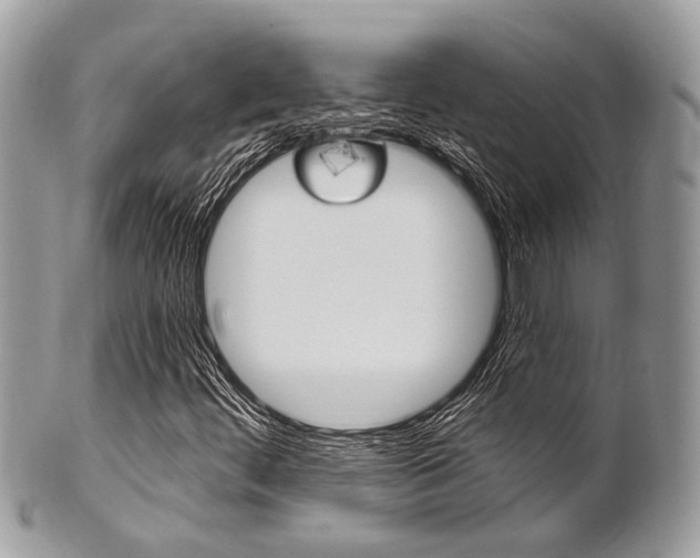 X0000101421444200807071019