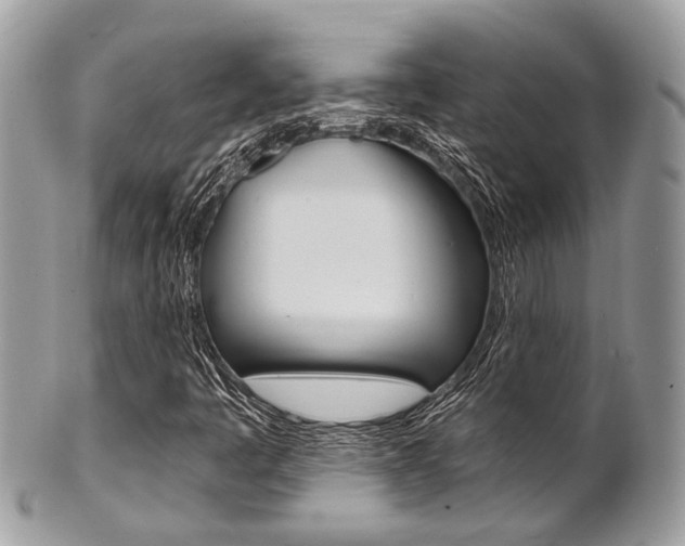 X0000101421445200807071019