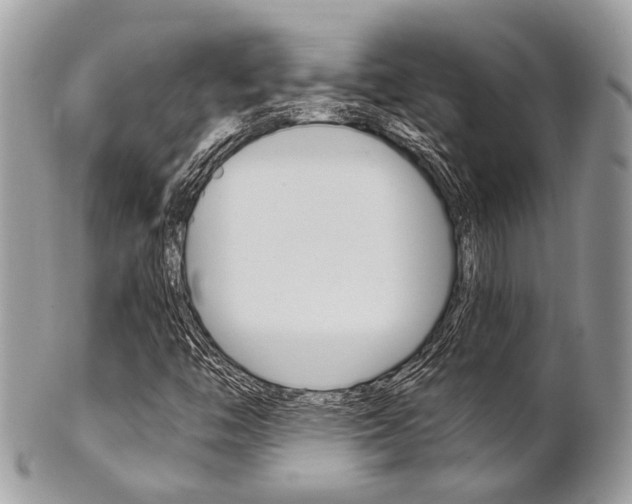X0000101421446200807071019