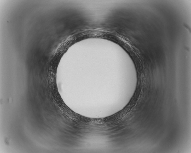 X0000101421447200807071019