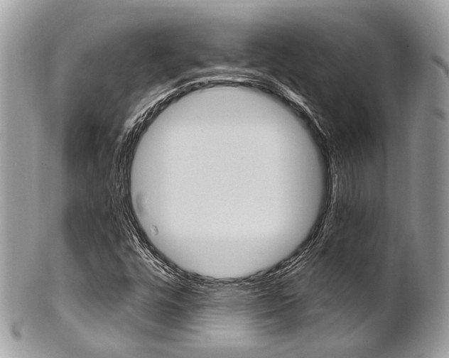 X0000101421448200807071019