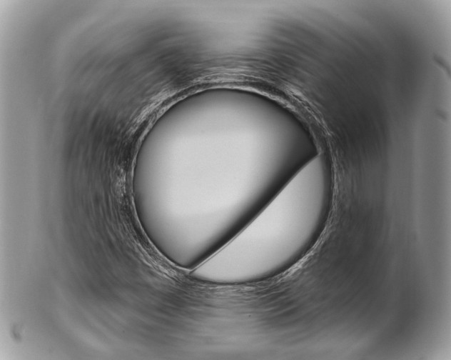 X0000101421449200807071019