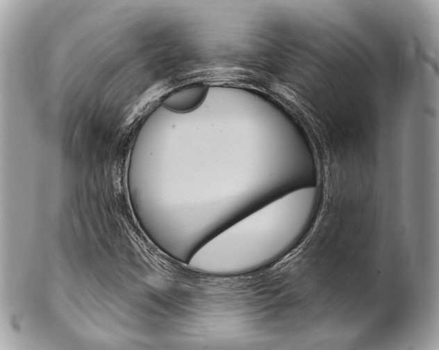 X0000101421451200807071019