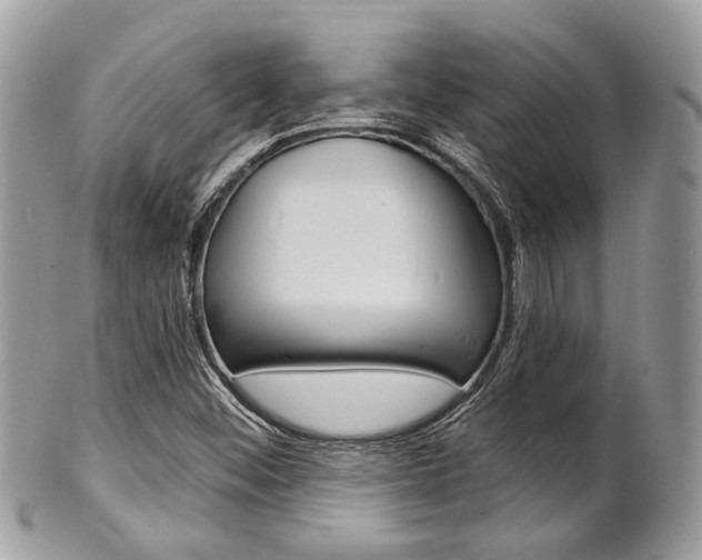 X0000101421452200807071019