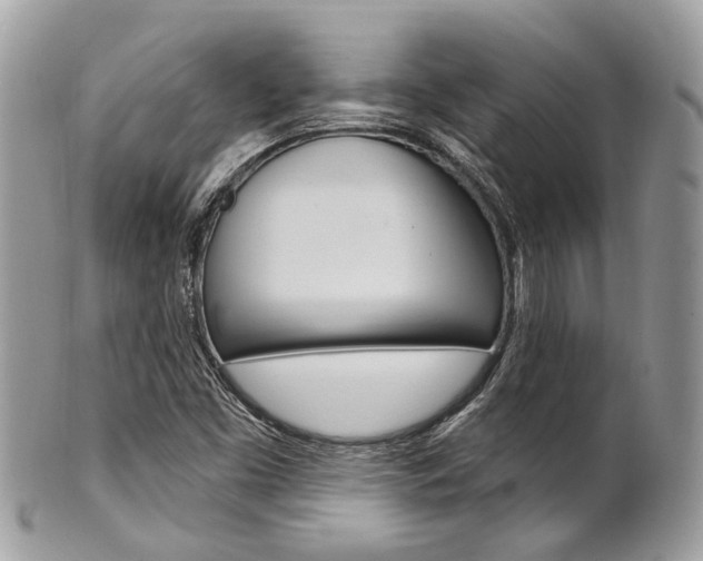 X0000101421453200807071019