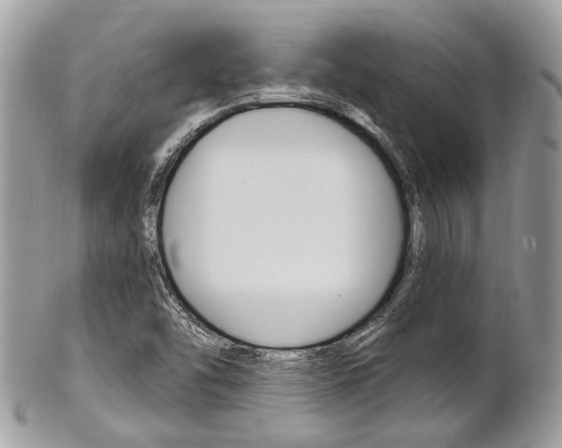 X0000101421454200807071019