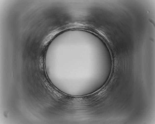 X0000101421455200807071019