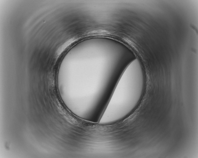 X0000101421458200807071019