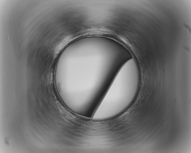 X0000101421459200807071019