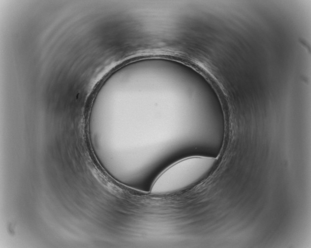 X0000101421460200807071019