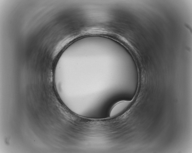 X0000101421461200807071019