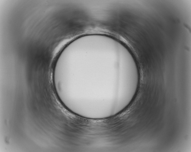 X0000101421462200807071019
