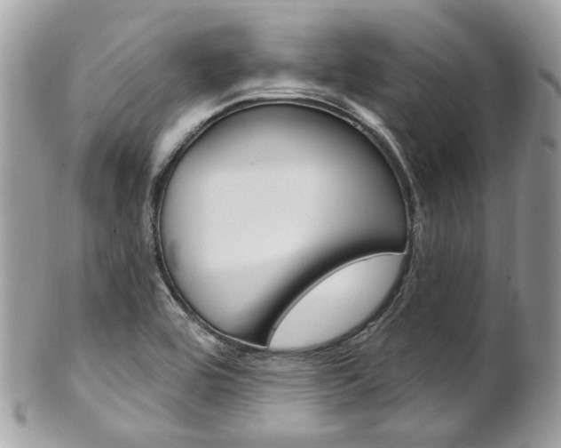 X0000101421464200807071019