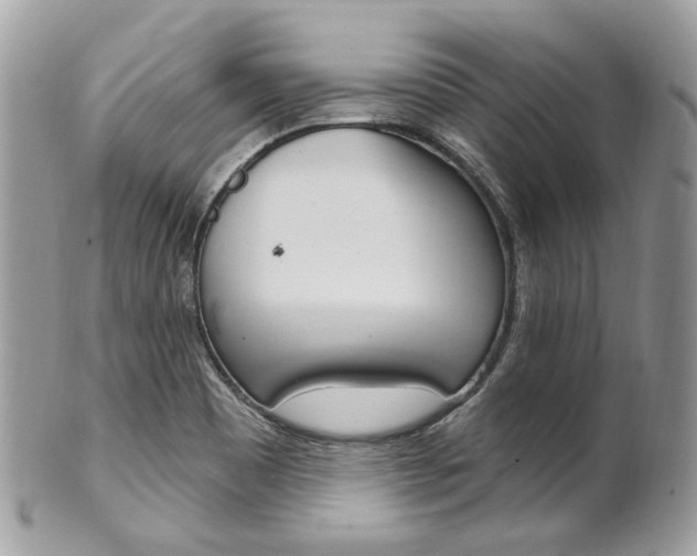 X0000101421465200807071019