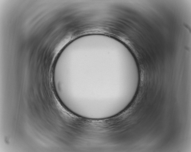 X0000101421466200807071019