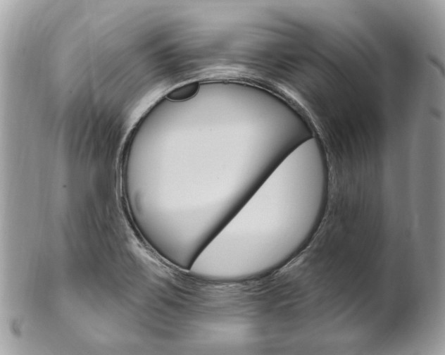 X0000101421467200807071019