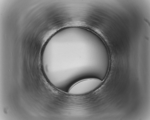 X0000101421469200807071019