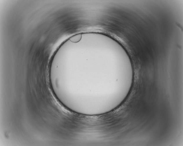 X0000101421470200807071019