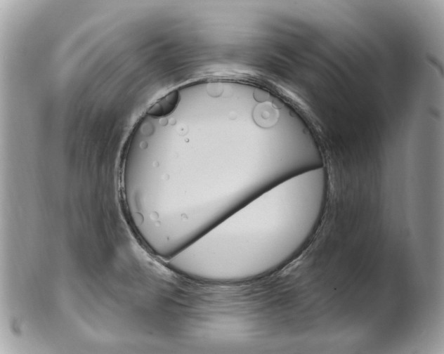 X0000101421471200807071019