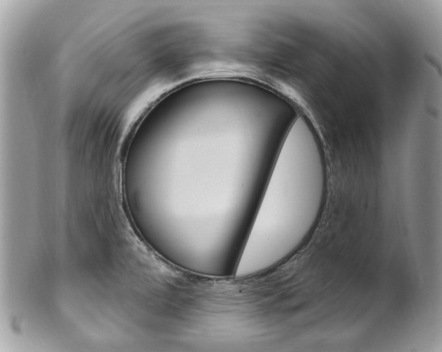 X0000101421472200807071019