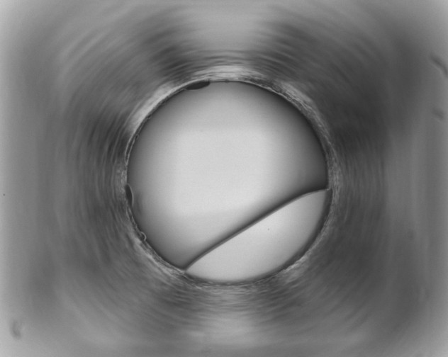 X0000101421473200807071019