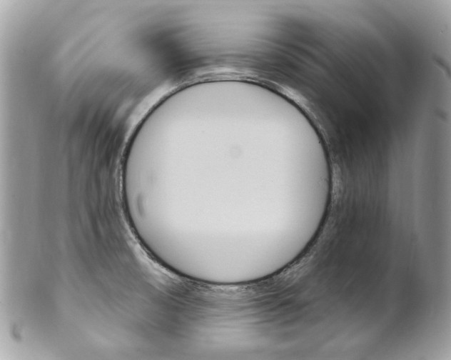 X0000101421474200807071019
