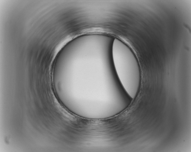 X0000101421475200807071019