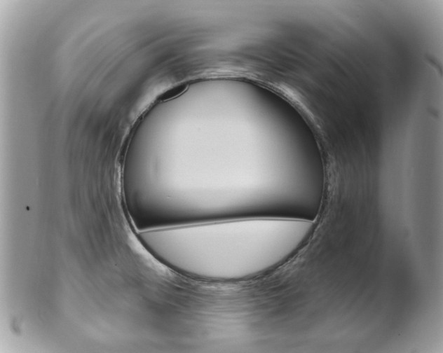 X0000101421476200807071019