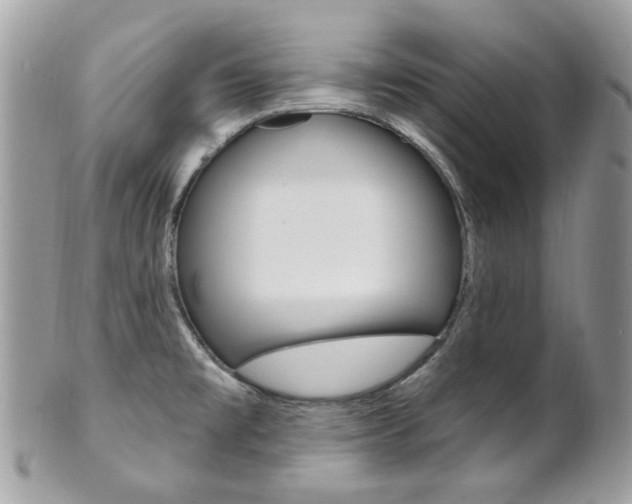 X0000101421477200807071019
