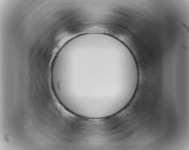X0000101421478200807071019