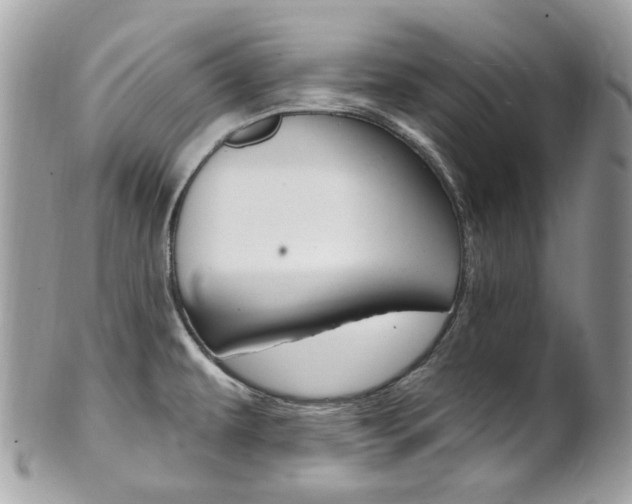 X0000101421479200807071019