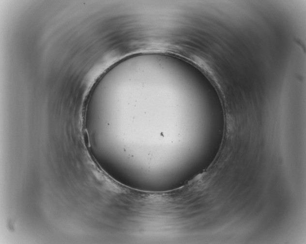 X0000101421480200807071019
